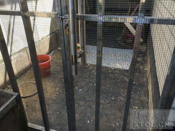 湘潭一小区被菜地包围臭气熏天,小区楼上住户养鸽子合法吗