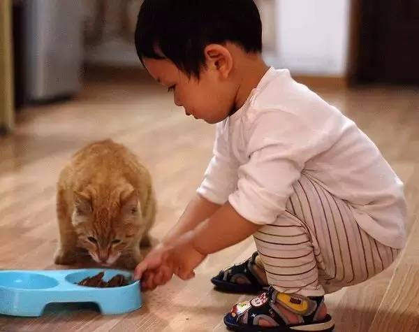 街边买来小宠物,竟致8岁女孩全身溃烂流脓!