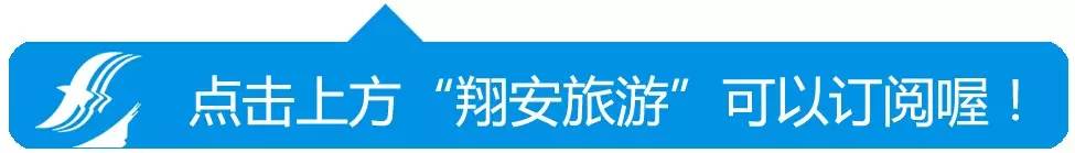 美爆了！台风过后，那些残根断枝竟然这么有用！赶紧学起来...