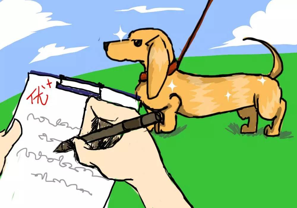 家里毛毛飞到处怎么处理,冬季家里毛毛多怎么处理