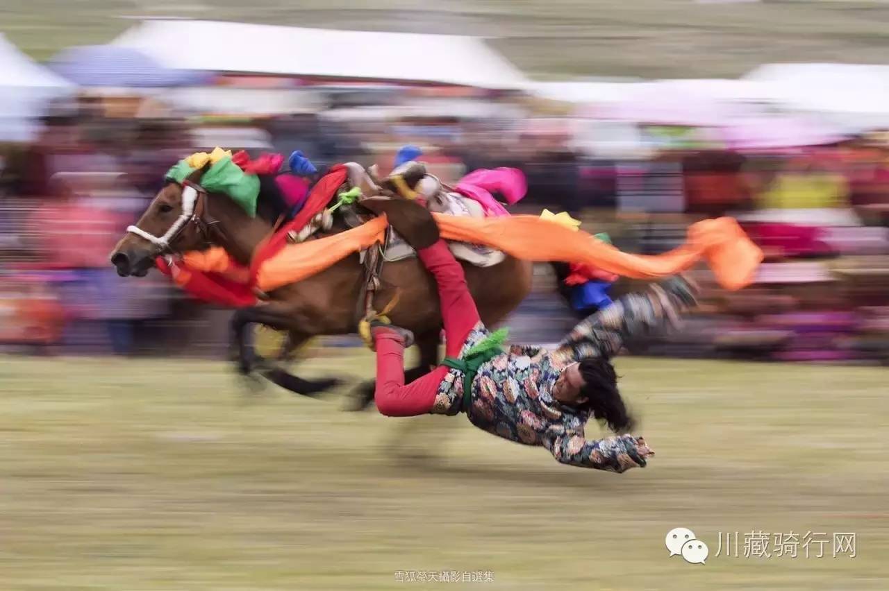 现在成都到拉萨最佳路线,成都到拉萨路线攻略图