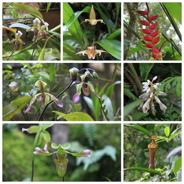 亚庇ow考试流程,亚庇ow多少钱