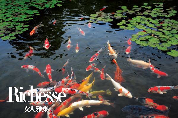 隈研吾建筑大师,日本建筑师隈研吾别墅