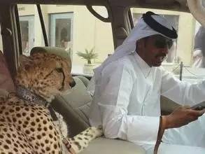 迪拜必买大牌,迪拜旅游是落地签吗