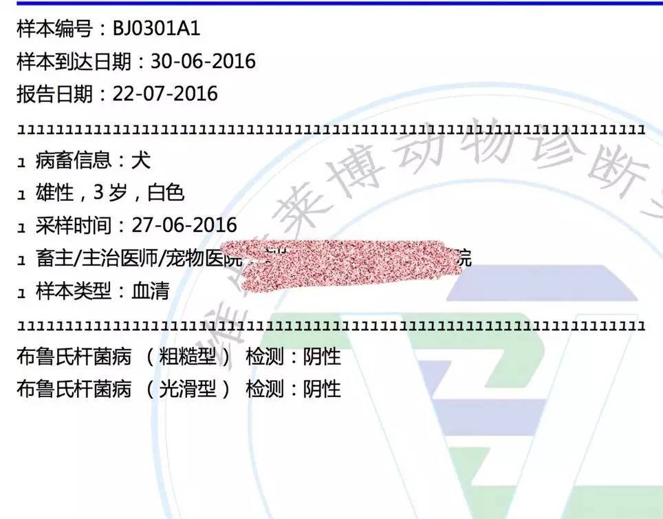 别让试纸草率地夺去猫狗的命！