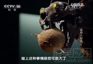 animelee鎬庝箞涓嬭浇,animelee娓告垙