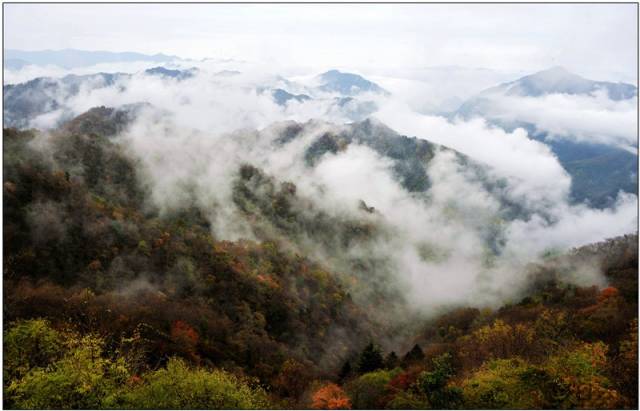 宝鸡人，你凭什么纵横中国？