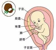 40周孕期全程指导手册,暖医十条措施来了