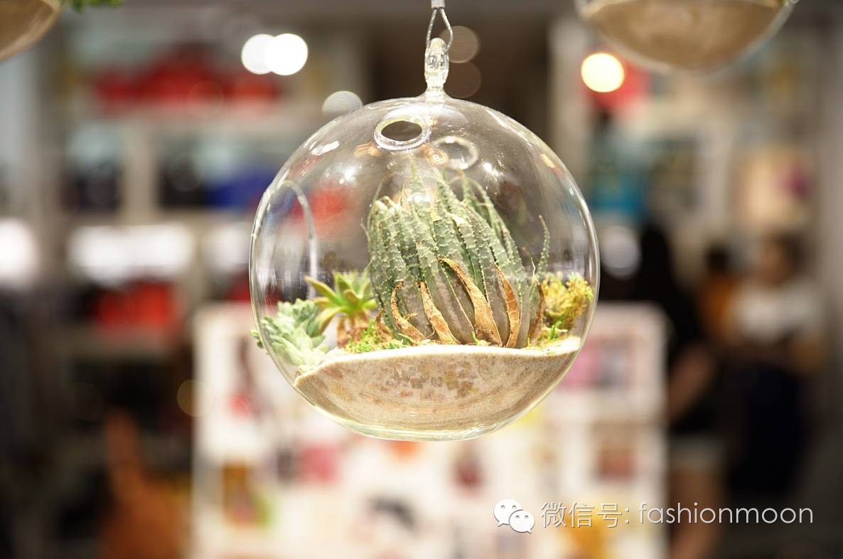 参考答案|如何拥有一只别人都没有的包