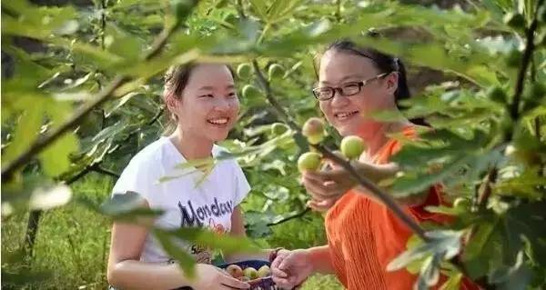 江西最美自驾线路推荐,江西自驾5条最佳线路图