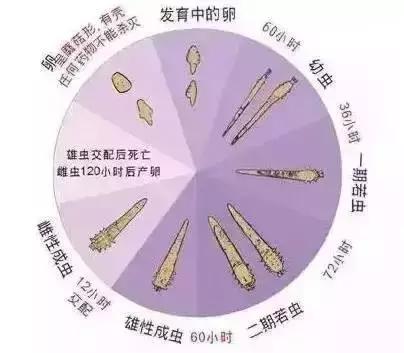 孩子感冒喷嚏不停,孩子感冒咳嗽还频繁打喷嚏