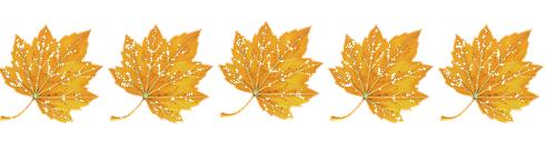 连载小说｜美美、笨笨和天才猪的幸福生活（第1章）作者才8岁！