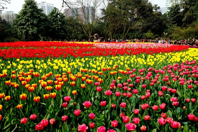 重庆免费景点一览表大全,重庆免费景点合集