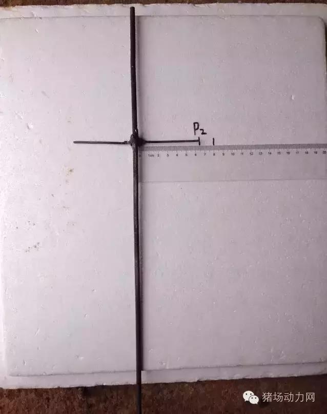 猪场铲粪的工具,铲猪粪神器