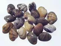 过敏体质忌口食物一览表,食物过敏知识讲座