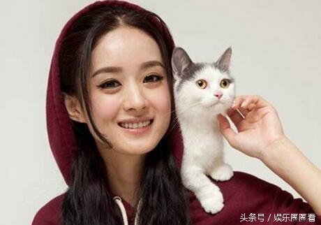 2021年明星都用什么手机型号,明星们经常用的手机型号