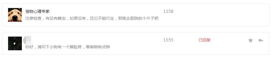 常见宠物狗体型大小排行榜最全,宠物狗智商排名和价格表