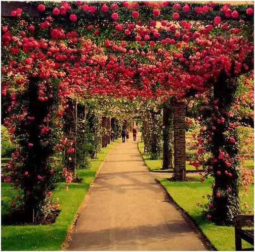 假期出行锦囊图片大全,假期锦囊的图片