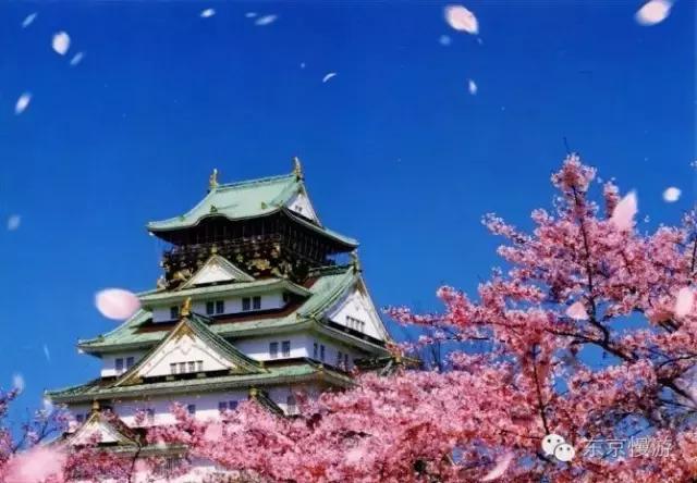 日本签证办理条件自由职业,日本留学签证下来了就得去日本吗