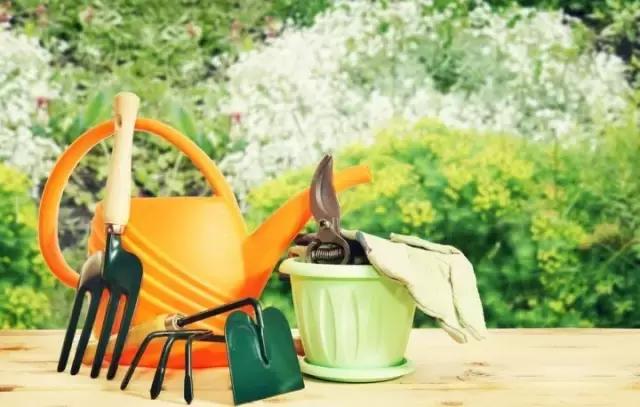 你盼着给祖国母亲过生日,我瞅着他们在自家种树