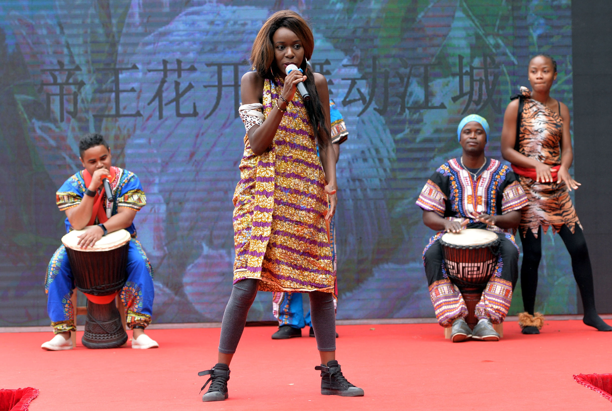 南非帝王花开花过程,南非帝王花单枝