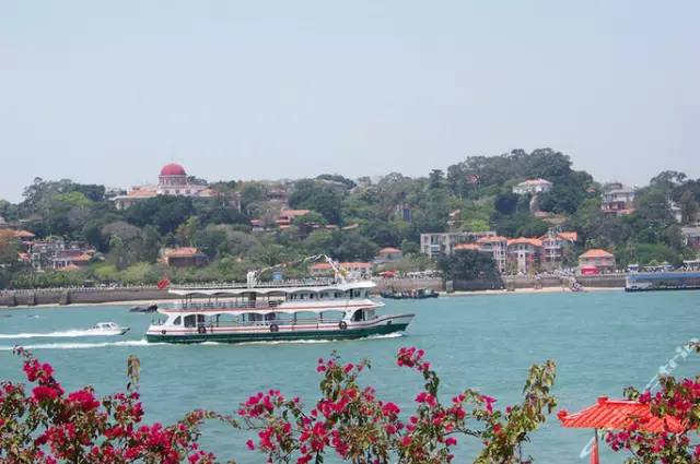 为什么年轻人还没离开厦门,多少人离开了厦门