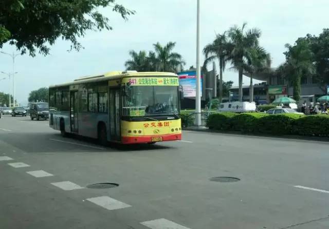 为什么年轻人还没离开厦门,多少人离开了厦门