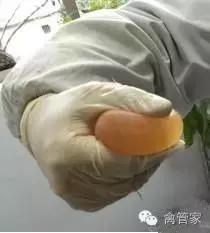 买鸡蛋打碎了什么征兆,鸡蛋生出来畸形的怎么回事