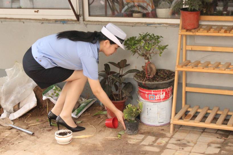 衡水最漂亮的小镇,十大宜居城市衡水