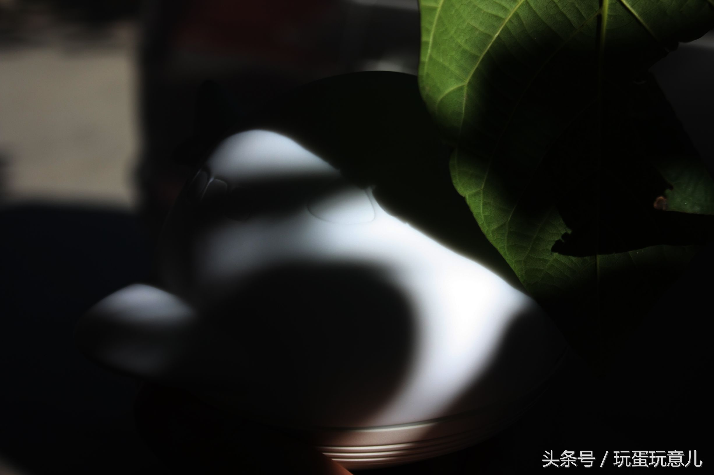 照星爷的话讲,想撩妹吗我教你!AirWhale智能音响灯体验