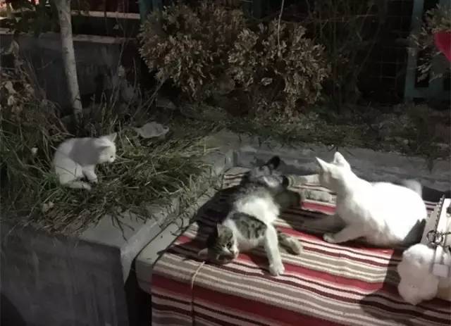 西安顺城巷附近有什么好玩的地方,西安顺城巷小吃街