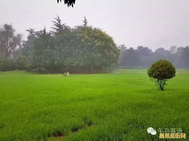 潍坊昌邑，一座如此好色之城，我的家乡我骄傲