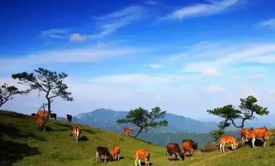 广东的草原在哪,广东附近哪里有草原