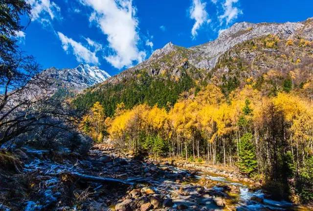 不需要知道你离世的理由，只愿你在天堂能重展笑容！