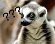 心脏二尖瓣出问题是怎么回事,心脏二尖瓣修复后应注意什么