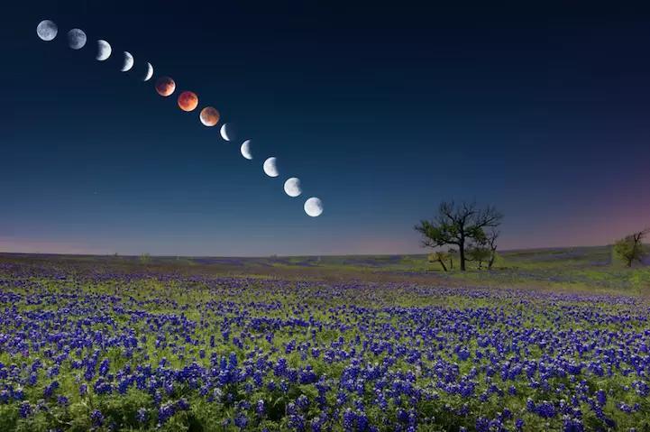 世界上最美的23张图,世界上最美的20张照片