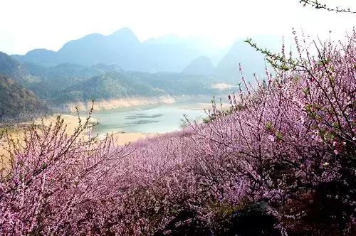 清远最值得去的十个地方,清远值得一去的地方