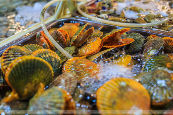 带着婚纱旅行攻略,带着婚纱去旅行拍照