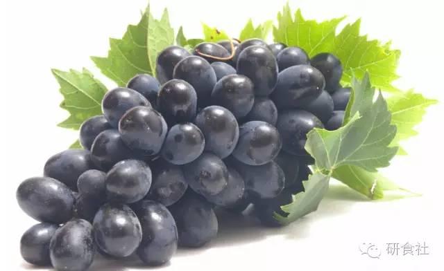 鲜酿酵素,鲜酿酵素怎么喝效果好