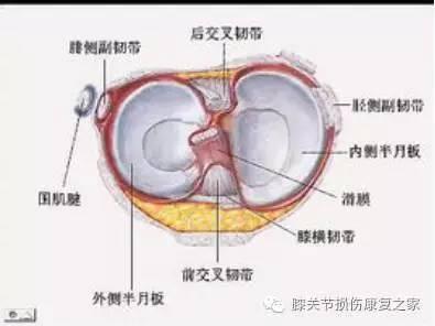 半月板修复术6万,半月板修复手术40天康复视频