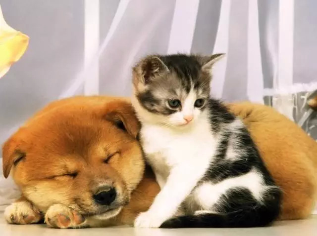 朋友圈的垃圾信息咋处理,朋友圈那些乱七八糟的事