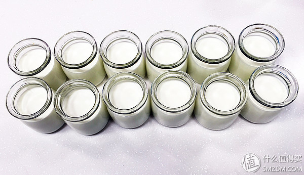 养出来的酸奶,比较好的酸奶发酵菌