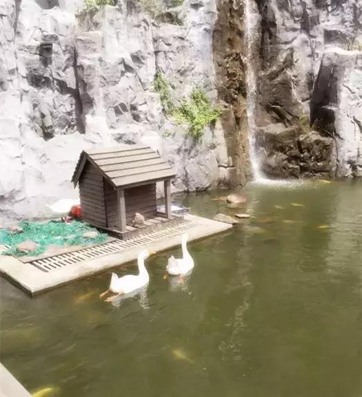 同样的三甲医院差别大不大,魔都的大医院不像小县城的医院