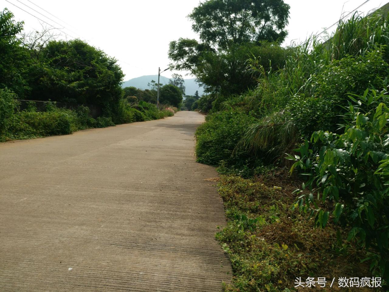 性价比最高的真我手机,乐pro3发布会