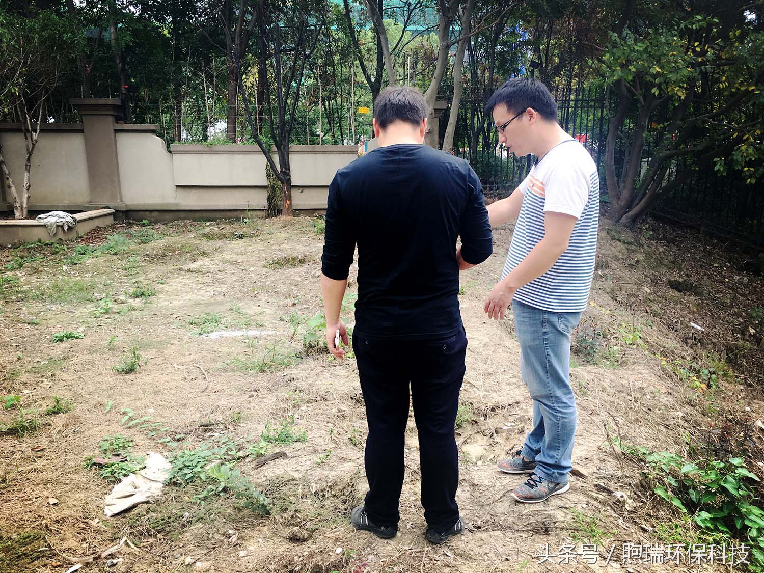 锦鲤鱼池花园庭院,最好看的长方形入户花园锦鲤鱼池