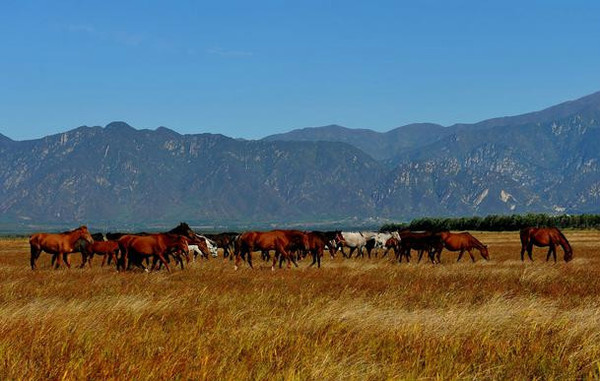 京西冬季自驾游,京西进山自驾游