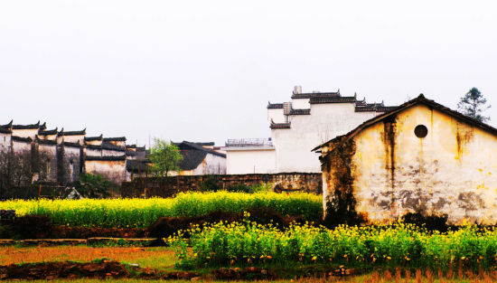 江西宜春好男人,江西好男人多吗