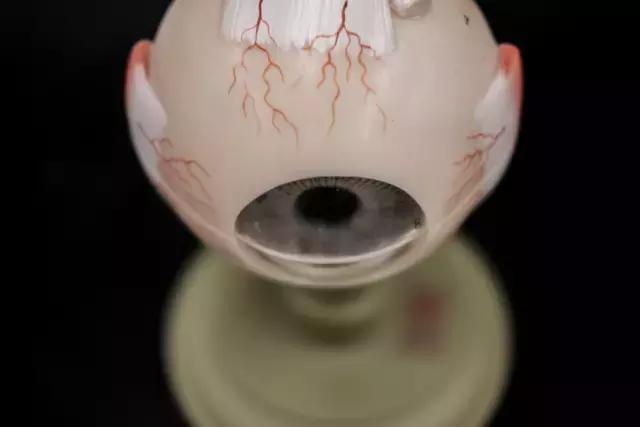 华裔光纤之父简介,华裔科学家被誉为光纤之父