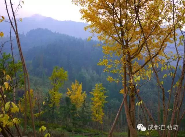 四川哪些天然温泉最好玩,四川小众温泉