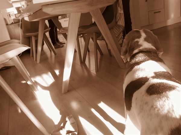 最小年纪摄影师,最小的摄影师6岁作品